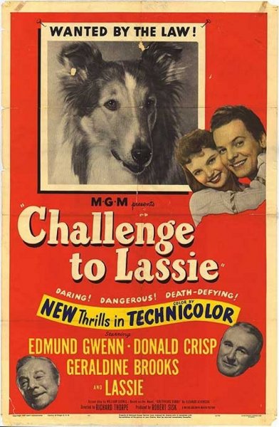 Challenge to Lassie