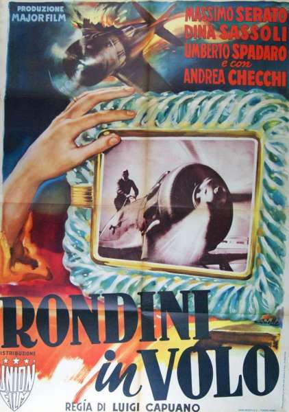 Rondini in volo