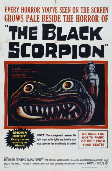 The Black Scorpion