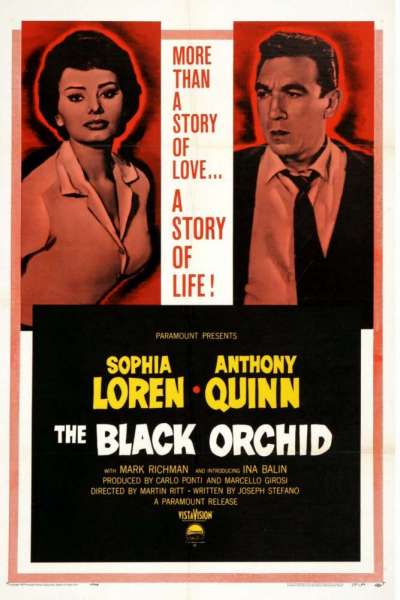 The Black Orchid