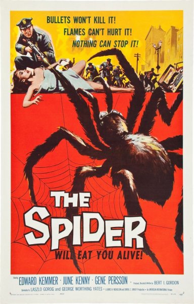 The Spider