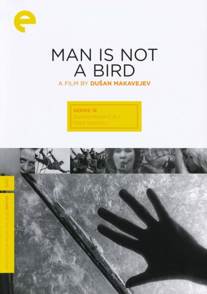 Man Is Not a Bird