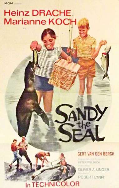 Sandy the Seal