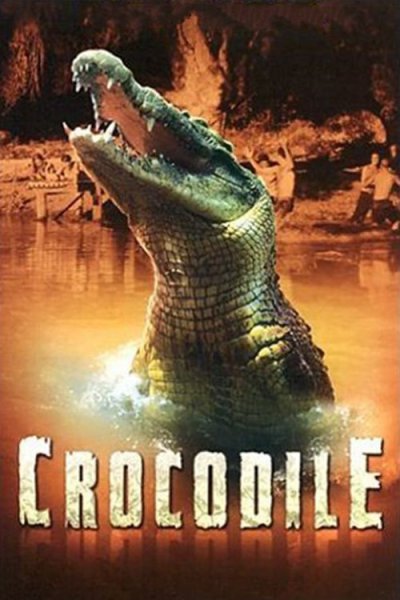 Crocodile