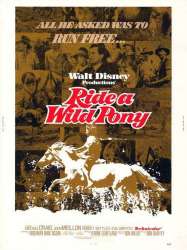 Ride a Wild Pony