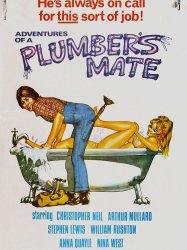 Adventures of a Plumber's Mate