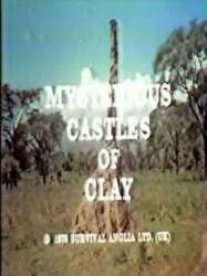 Mysterious Castles of Clay