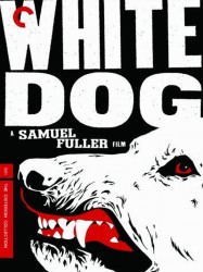 White Dog