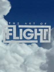 The Art of Flight