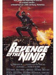 Revenge of the Ninja