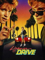 License to Drive