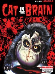 A Cat in the Brain