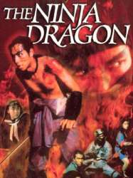 Legend of the Shadowy Ninja: The Ninja Dragon