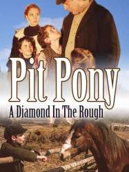 Pit Pony