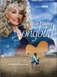 Blue Valley Songbird