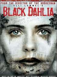 Black Dahlia