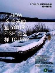 How Is Your Fish Today?