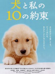 10 Promises to My Dog