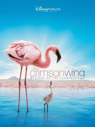 The Crimson Wing: Mystery of the Flamingos