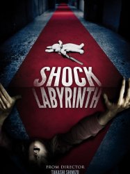 The Shock Labyrinth