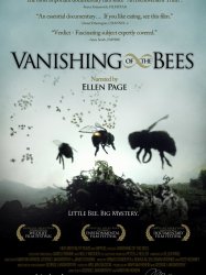 Vanishing of the Bees