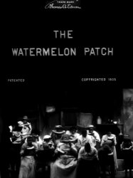 The Watermelon Patch