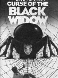 Curse of the Black Widow