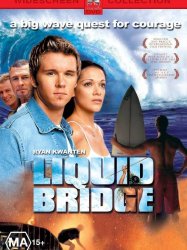 Liquid Bridge