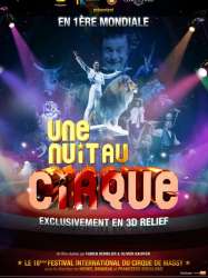 Une nuit au cirque