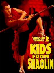 Kids from Shaolin