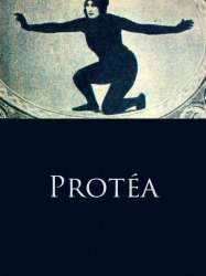 Protéa