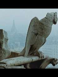 Notre Dame - cathédrale de Paris