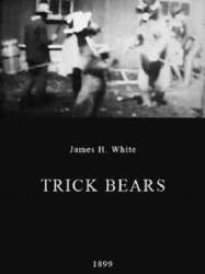 Trick Bears