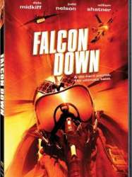 Falcon Down