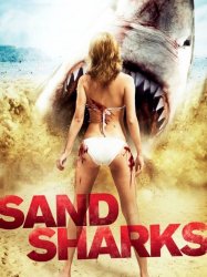 Sand Sharks