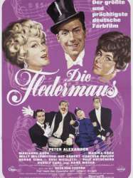 Die Fledermaus