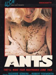 Ants!