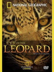 Eye of the Leopard