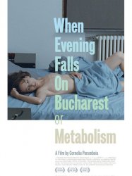 When Evening Falls on Bucharest or Metabolism