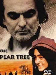 The Pear Tree