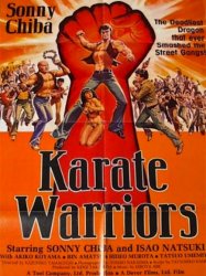 Karate Warriors