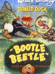 Bootle Beetle