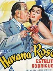 Havana Rose