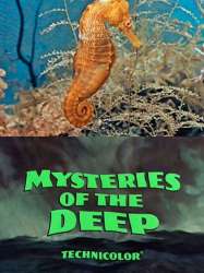 Mysteries of the Deep