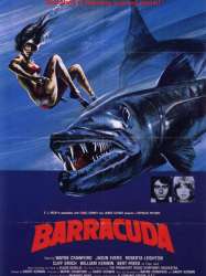 Barracuda