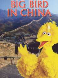 Big Bird in China