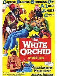 The White Orchid