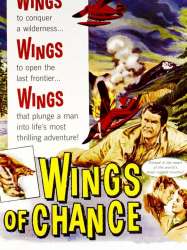 Wings of Chance