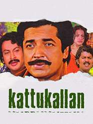 Kaattu Kallan