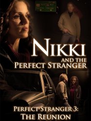 Nikki and the Perfect Stranger